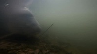 Monster Carp S06E02 XviD-AFG EZTV