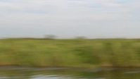 Swamp People S14E03 XviD-AFG EZTV