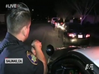 Live PD S03E29 480p x264-mSD [eztv]