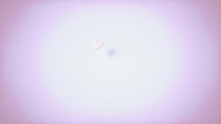 ZIWE S02E11 720p HEVC x265-MeGusta EZTV ZIWE S02E11 720p HEVC x265-MeGusta EZTV