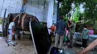 Elephant Hospital S02E01 1080p WEB H264-CBFM EZTV Elephant Hospital S02E01 1080p WEB H264-CBFM EZTV