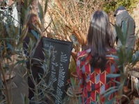Salvage Hunters S17E02 480p x264-mSD EZTV