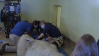 Arctic Vets S01E10 WEBRip x264-BAE EZTV