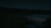 The Parts You Lose 2019 BDRip x264-DRONES[MovCr]