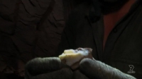 Outback Opal Hunters S01E08 PDTV x264-CBFM [eztv]