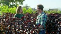 Gardeners World S51E29 HDTV x264-DOCERE [eztv]