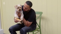 The Dog Academy S01E08 XviD-AFG EZTV The Dog Academy S01E08 XviD-AFG EZTV