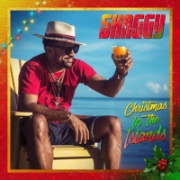 Shaggy - Christmas in the Islands (2020) Mp3 320kbps [PMEDIA] ️