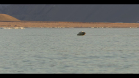 Our Oceans S01E04 720p x265-TiPEX EZTV