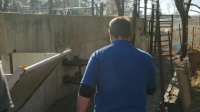 Arctic Vets S01E03 XviD-AFG EZTV Arctic Vets S01E03 XviD-AFG EZTV