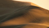 Prehistoric Planet 2022 S01E02 XviD-AFG EZTV Prehistoric Planet 2022 S01E02 XviD-AFG EZTV
