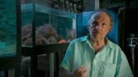 The Age of Nature S01E03 Changing XviD-AFG EZTV