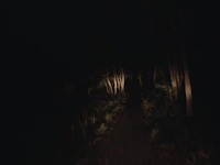 Hard Truths of Conservation S01E03 480p x264-mSD EZTV