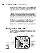 Biochemistry For Dummies