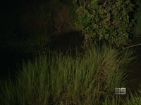 Matt Wrights Wild Territory S01E04 480p x264-mSD EZTV Matt Wrights Wild Territory S01E04 480p x264-mSD EZTV