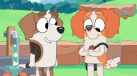 Bluey S02E38 iNTERNAL XviD-AFG EZTV