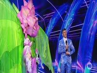The Masked Singer AU S04E06 480p x264-mSD EZTV
