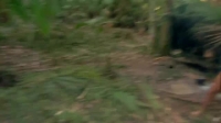 Naked and Afraid S12E01 XviD-AFG EZTV Naked and Afraid S12E01 XviD-AFG EZTV