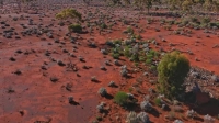 Aussie Gold Hunters S06E09 XviD-AFG EZTV