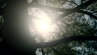 Wild Crime S02E04 1080p HEVC x265-MeGusta EZTV Wild Crime S02E04 1080p HEVC x265-MeGusta EZTV