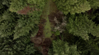 Expedition Bigfoot S05E01 XviD-AFG EZTV Expedition Bigfoot S05E01 XviD-AFG EZTV