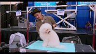 Dogs S01E04 1080p HEVC x265-MeGusta EZTV