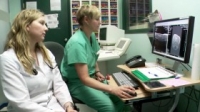Vets Saving Pets S02E09 WEB x264-LiGATE [eztv]