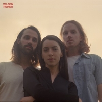 [dream-pop, indie-pop] (2020) Wilsen - Ruiner [FLAC] [DarkAngie]