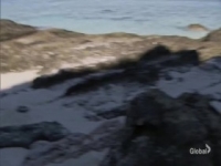 Survivor S40E13 480p x264-mSD [eztv]