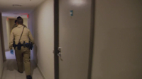 Cops S34E06 720p WEB h264-BAE EZTV Cops S34E06 720p WEB h264-BAE EZTV