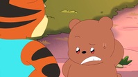 We Baby Bears S01E17 XviD-AFG EZTV