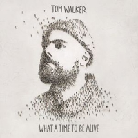 Tom Walker - What a Time to Be Alive (2019) Flac