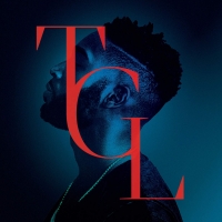 Tinie Tempah - Girls Like (feat. Zara Larsson) {2016-Single}