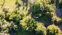 Work On The Wild Side S01E01 XviD-AFG EZTV Work On The Wild Side S01E01 XviD-AFG EZTV