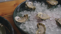 Jimmys Taste of Florida S01E01 XviD-AFG EZTV Jimmys Taste of Florida S01E01 XviD-AFG EZTV