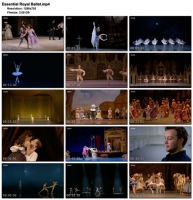Essential Royal Ballet (BBC, 2019) (1280x720p HD, 50fps, soft Eng subs)