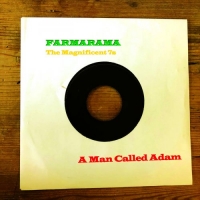 A Man Called Adam - Farmarama – The Magnificent 7s (2020) [FLAC] [DJ]