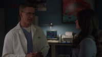 NCIS S20E17 1080p HEVC x265-MeGusta EZTV