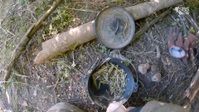 Alone Australia S01E06 1080p HEVC x265-MeGusta EZTV