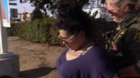 Cops S35E02 720p HEVC x265-MeGusta EZTV