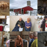 The Incredible Dr Pol S14E01 WEB x264-TBS