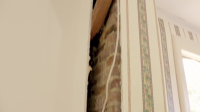 Small Town Potential S01E01 1080p WEB h264-FREQUENCY EZTV Small Town Potential S01E01 1080p WEB h264-FREQUENCY EZTV