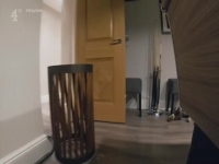 Celebrity Snoop Dogs S01E01 480p x264-mSD [eztv]