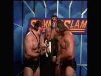 WWE SummerSlam 1990 480p x264-mSD EZTV WWE SummerSlam 1990 480p x264-mSD EZTV