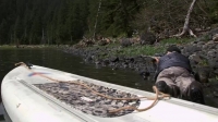 Alaska The Last Frontier S08E04 WEB x264-TBS [eztv]