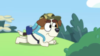 Bluey S02E13 iNTERNAL XviD-AFG EZTV