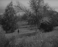 Ivan's Childhood (1962) [1080p] [BluRay] [2 0] [YTS] [YIFY]