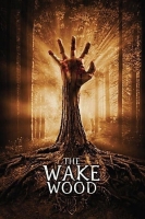 Wake Wood 2009 1080p BluRay x264 DTS-FGT