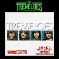 The Tremeloes - Boxed (4CD Box Set) (2009) (320) [DJ]