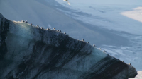 OceanXplorers S01E06 720p HEVC x265-MeGusta EZTV OceanXplorers S01E06 720p HEVC x265-MeGusta EZTV